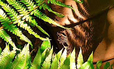 手机号轰炸业务网